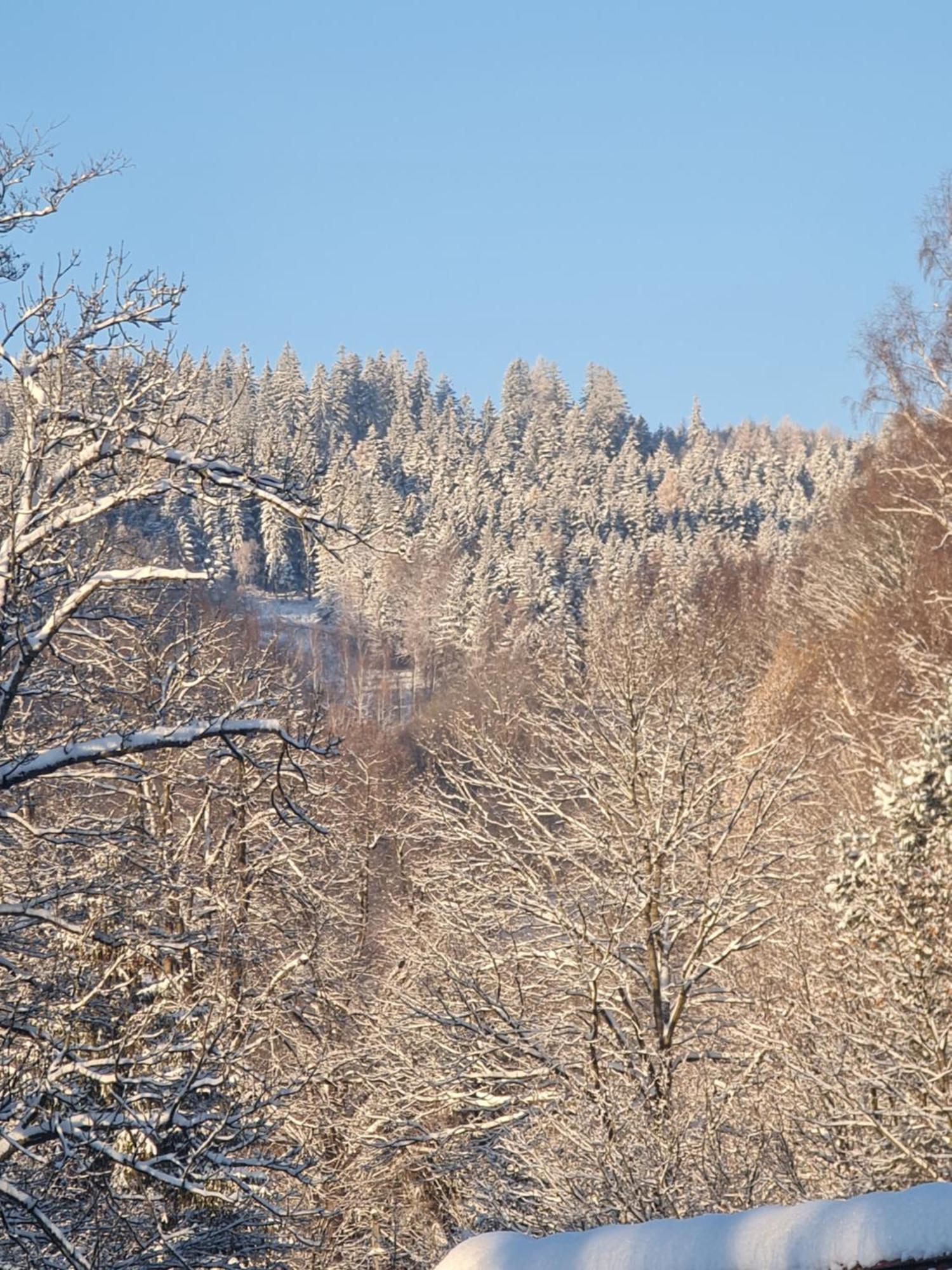 Sieraton Pokoje I Apartament Stronie Śląskie المظهر الخارجي الصورة